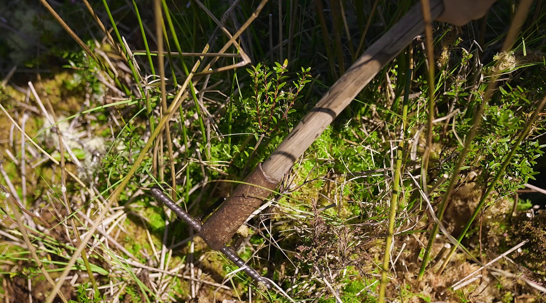 L'Or Vert - Récolte durable